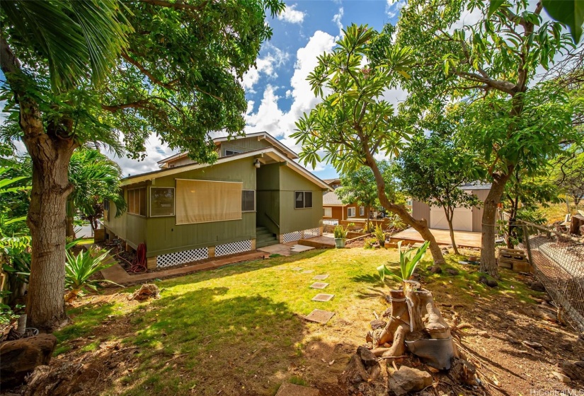 View of the backyard