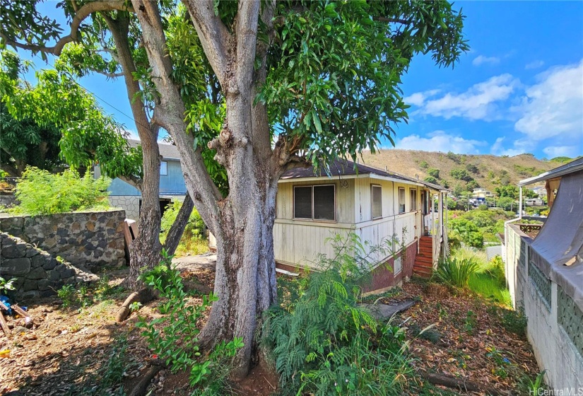 Front of the property- right side on Iaukea St.