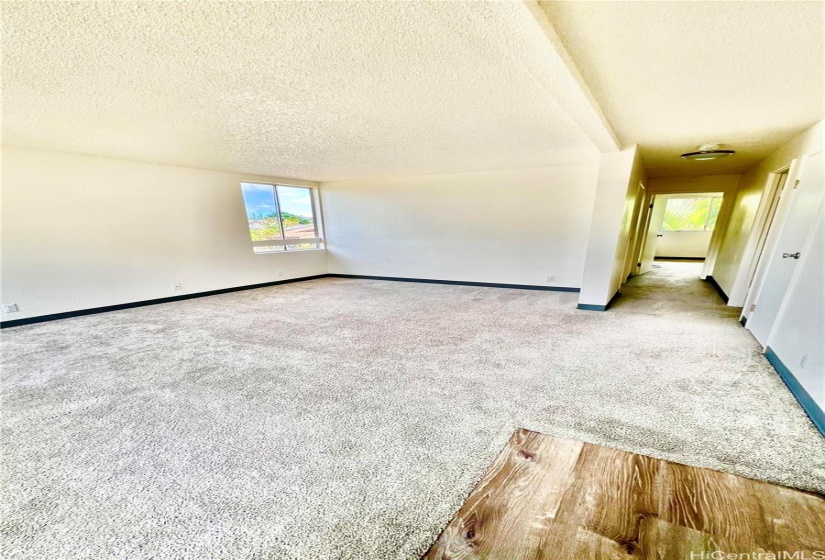 Large living room/dining area combo.  Newer carpet freshly shampooed.