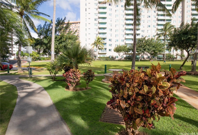 Lots of open space at the Country Club Village complex.