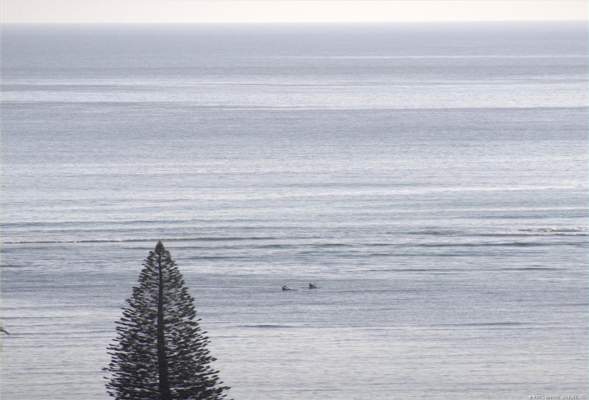 Surfers off in the distance. View from this property.