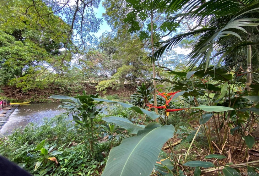 Stream view from the lot.