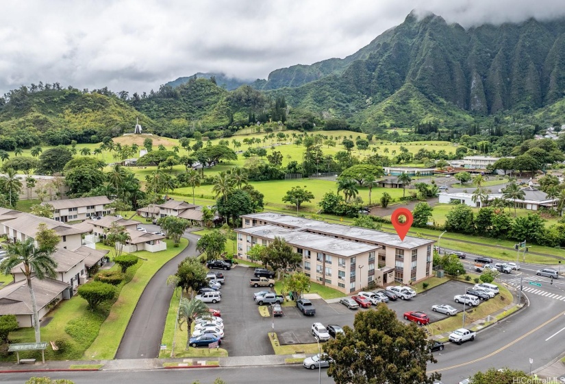 Lush greenbelt surrounding Kahaluu Gardens.