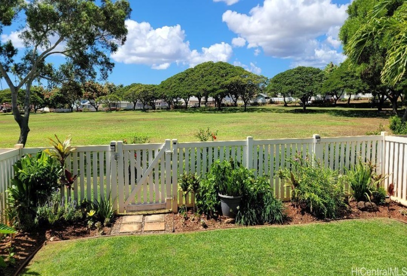 Landscaped yard