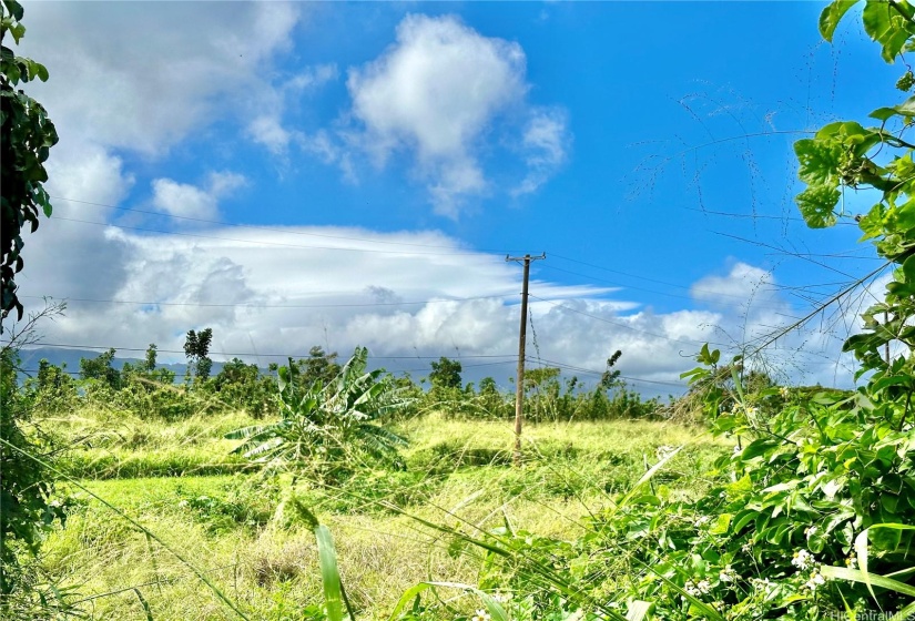 view from back yard