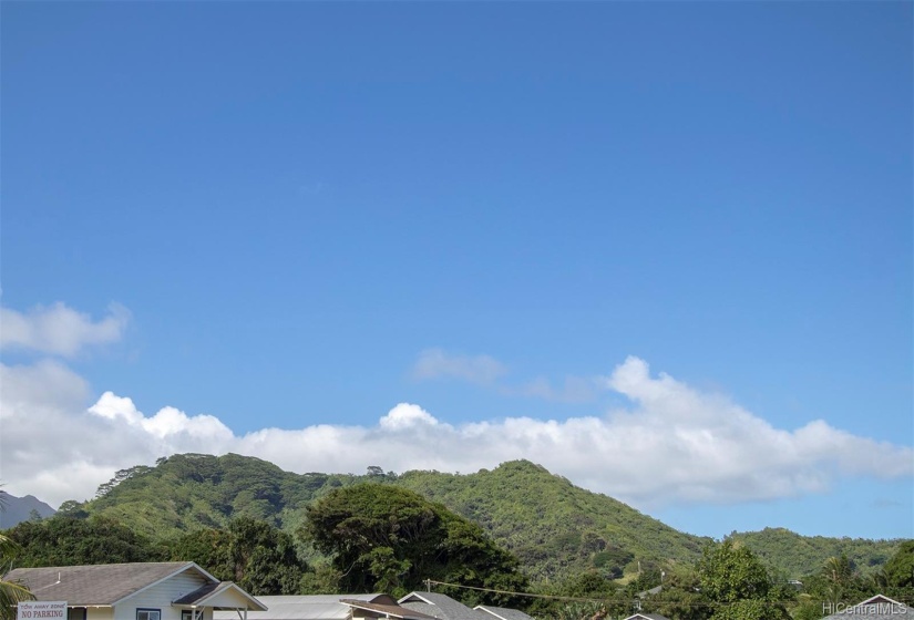 View of the hillside of the property from Wongs Village - about 1/2 mile away.