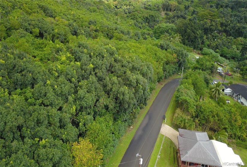 looking down Pulama Rd towards the ocean.  Subject on the left.