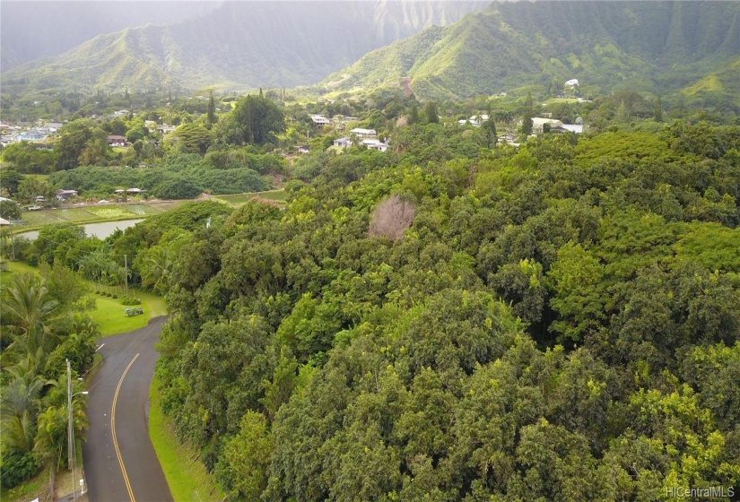 Looking up Pulama Road.... property on the right.