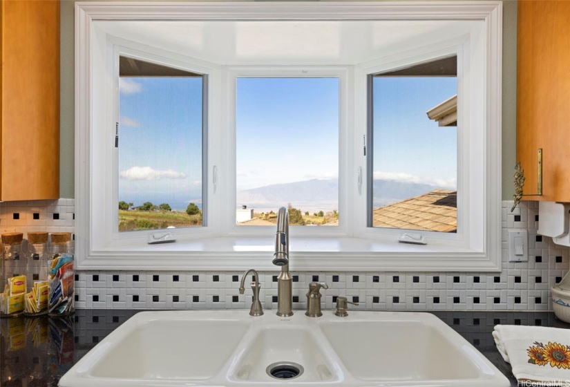 Bi-coastal view from sink w/bay window