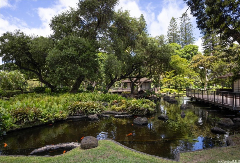 Koi Pond and Japanese Tea House