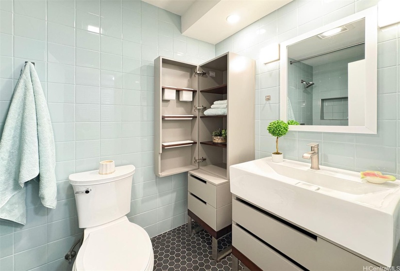 Renovated bathroom downstairs