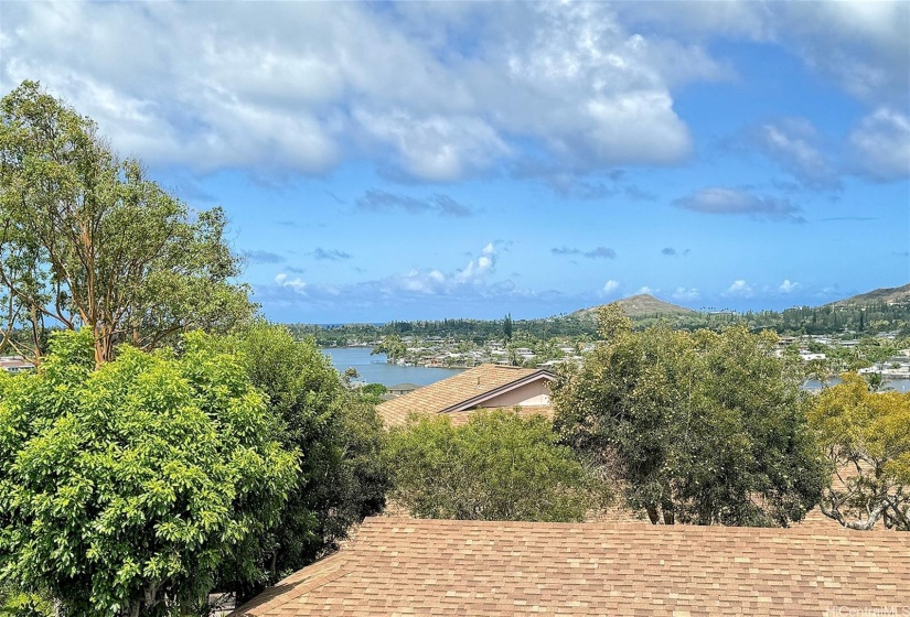 Peaceful, pretty lakeview off your lanai.