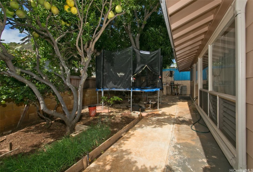 Enjoy shade and breeze under fruit trees