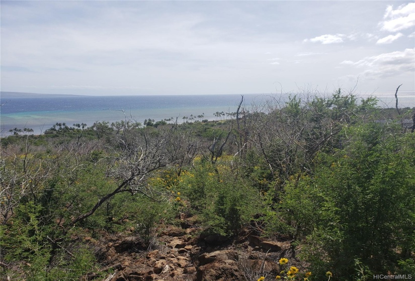 SW view coconut palms on the beach, private oceanfront park next to two county parks. West tip of Lanai in background