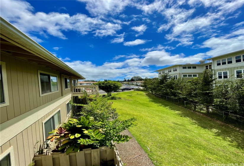 View from lanai facing east