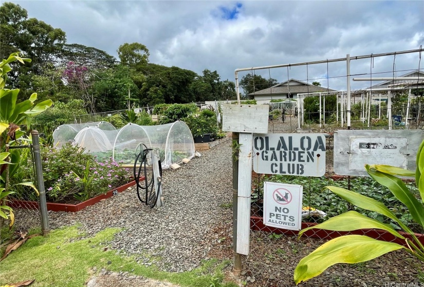 The Garden Club offers private plots for your flowers and vegetables.