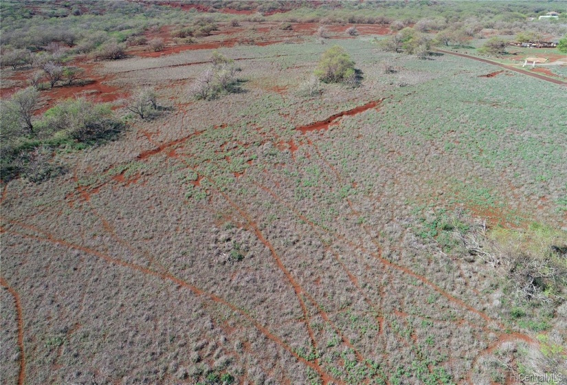 Aerial view of the lot