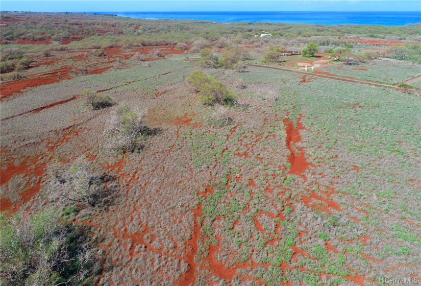 Gently sloping terrain & few Kiawe trees are a major plus