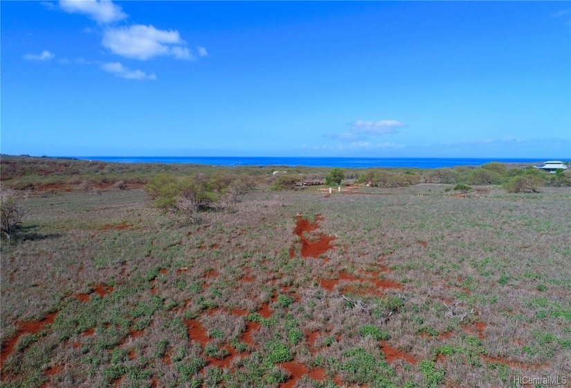 Looking towards Papohaku Beach