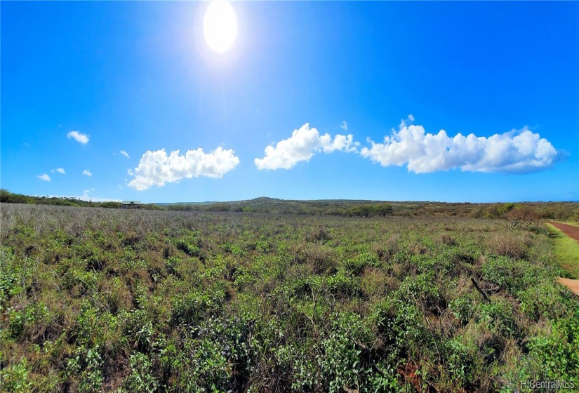 Looking up towards the quaint little town of Maunaloa