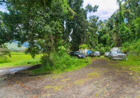 Use your imagination and build your dream home on over 4 acres of land