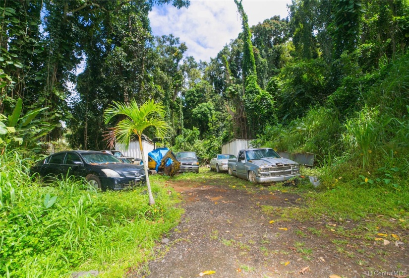 Nice level area surrounded by lush greenery