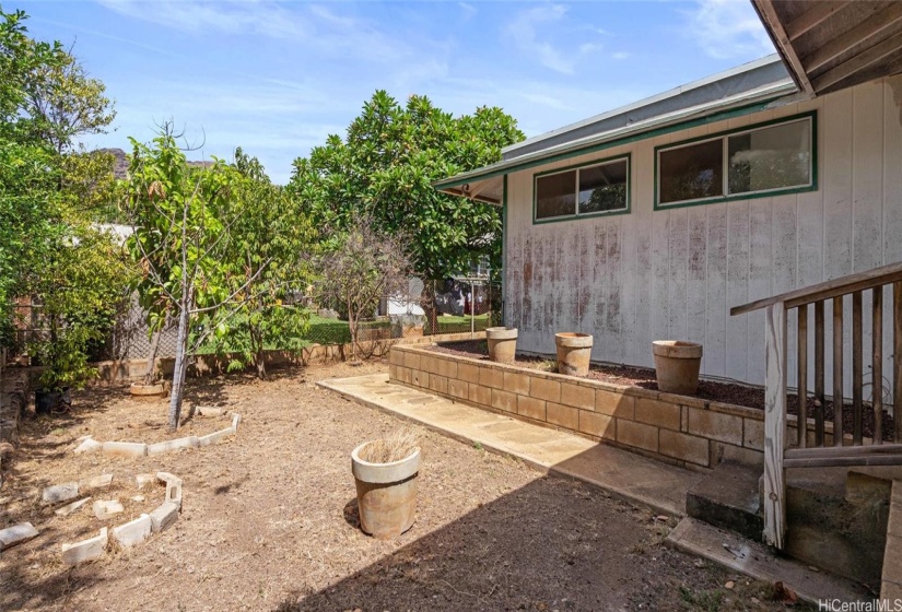 Backyard with avocado, citrus, and soursop