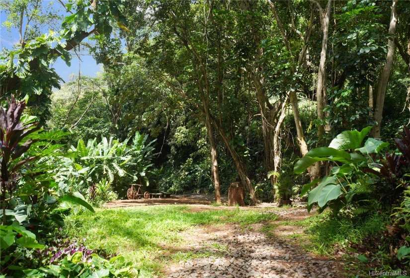 Nature trail opens up onto a large clearing.  Access directly from Lai Road as well.  Lot E.