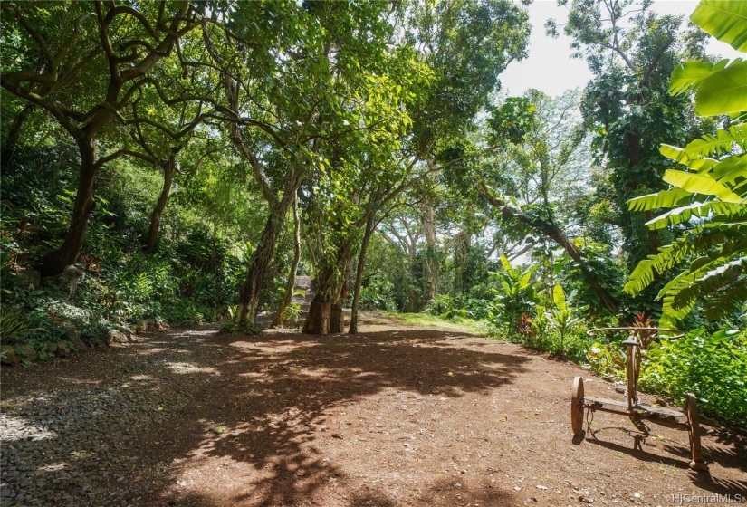 One of many building or yard sites, this one located on Lot E.