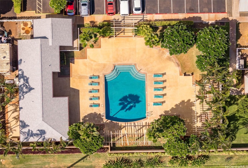 Community Pool Area