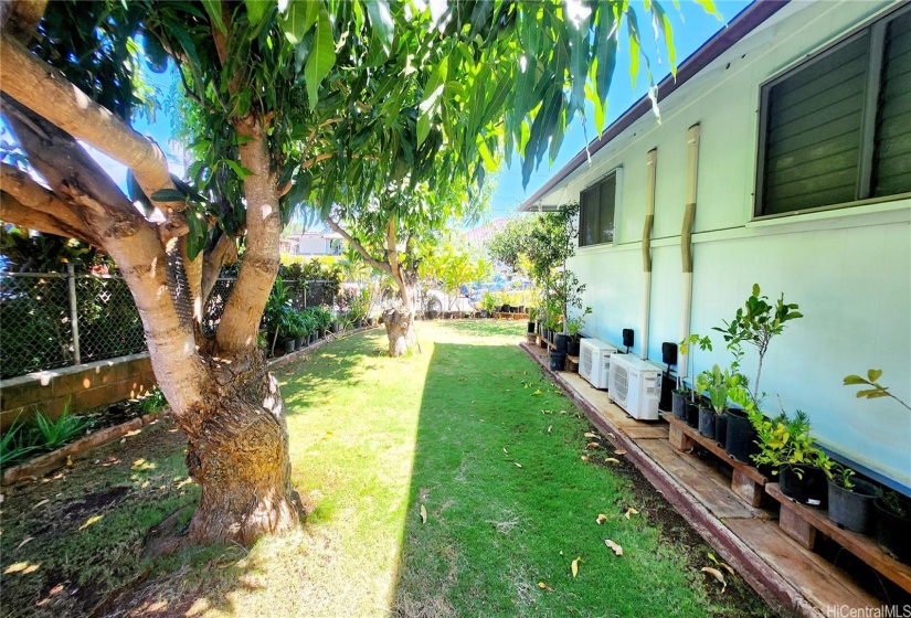 Nice corner lot with mango trees providing fresh fruits