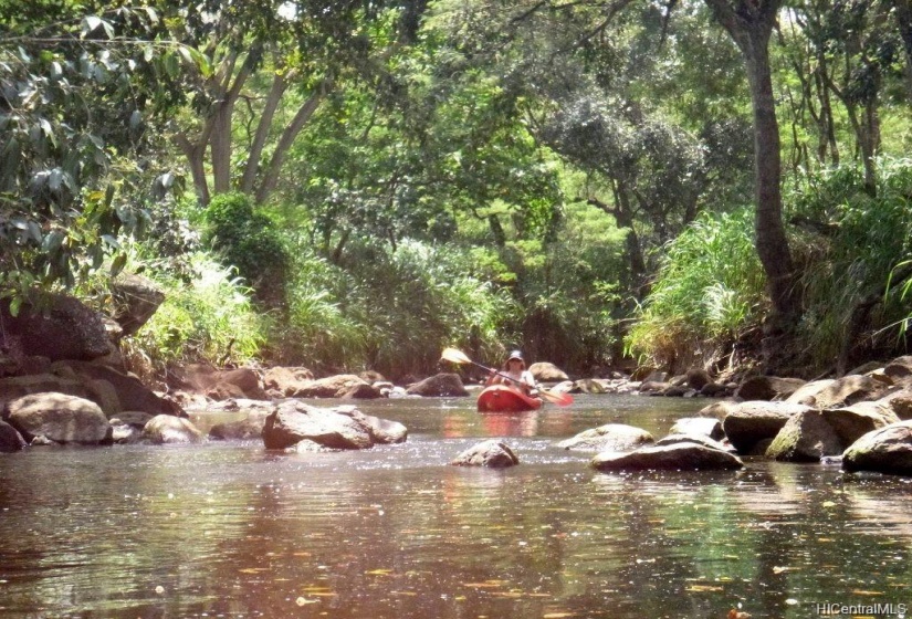 Kayak coming down from property