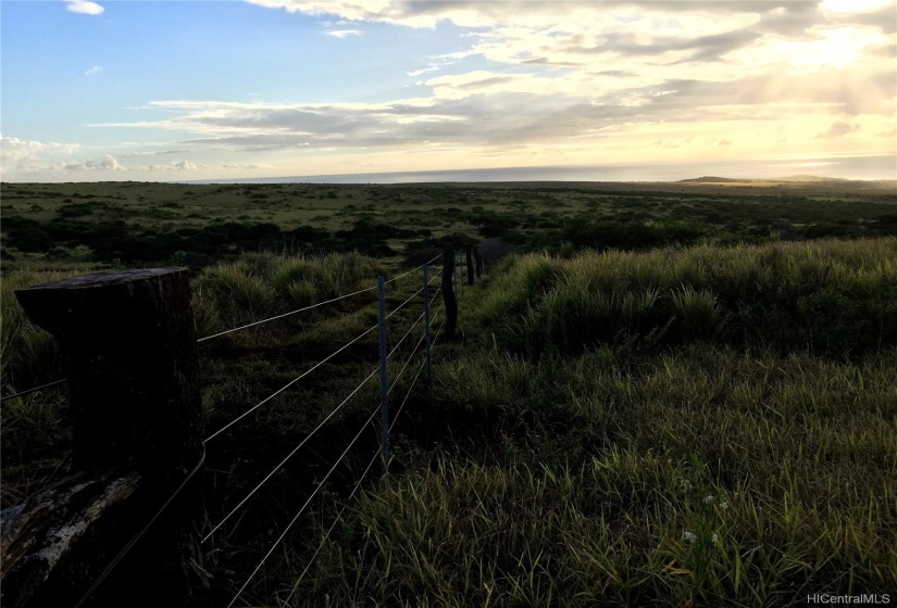 THIS 35 ACRE RANCH THAT IS ALREADY FENCED IN ON TWO SIDES IS AWSOME! CONTACT TO EXPERIANCETHIS INCREDIBLE PROPERTY! IN MANY TOWNS OR CITIES YOU PAY THE SAME PRICE FOR A LOT LESS THAN AN ACRE! YOU GET 35 ACRES OF HAWAIIAN PARADISE FOR A GRET PRICE!!