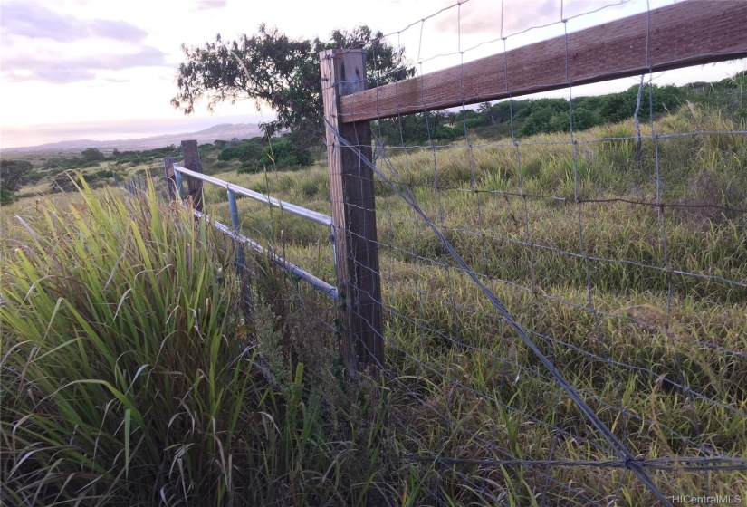 THE PROPERTY IS  FENCED IN ON 2 SIDES ALREDY BY THE NEIGHBORS!