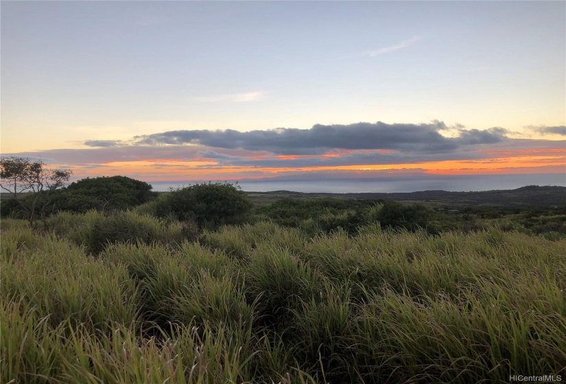 A BEATIFULL EXAMPLE OF THE RAW BEAUTY OF MOLOKA FROM THE PROPERTY!!