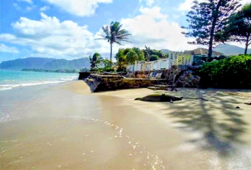 Beach and Seawall