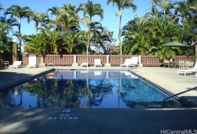 Tropical swimming pool