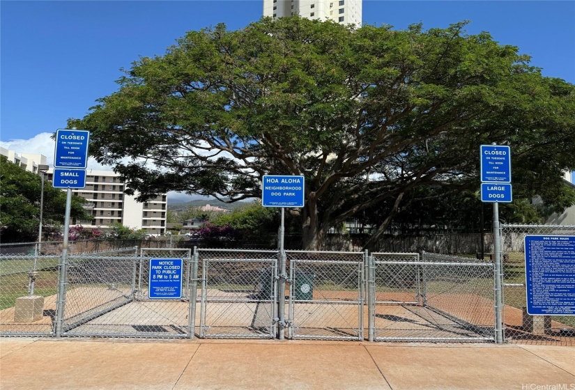 Hoa Aloha Neighborhood Park features two dog parks - one each for small dogs and large dogs.  There's plenty of green space to roam and lots of shade!