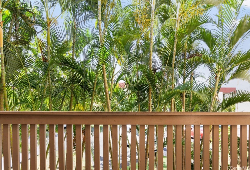 Large private lanai fronted by mature palms to maintain privacy.