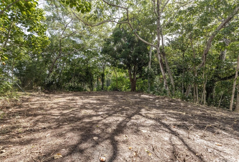 Upper makai (ocean) side of lot near chain link fence