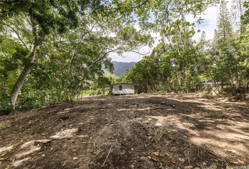 Furthest makai (ocean) side of lot facing away fromneighboring tree farm.