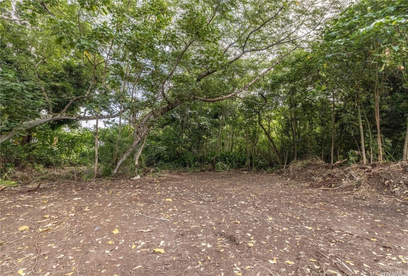 Lower back of lot facing towards small stream thatruns across the back of the property.