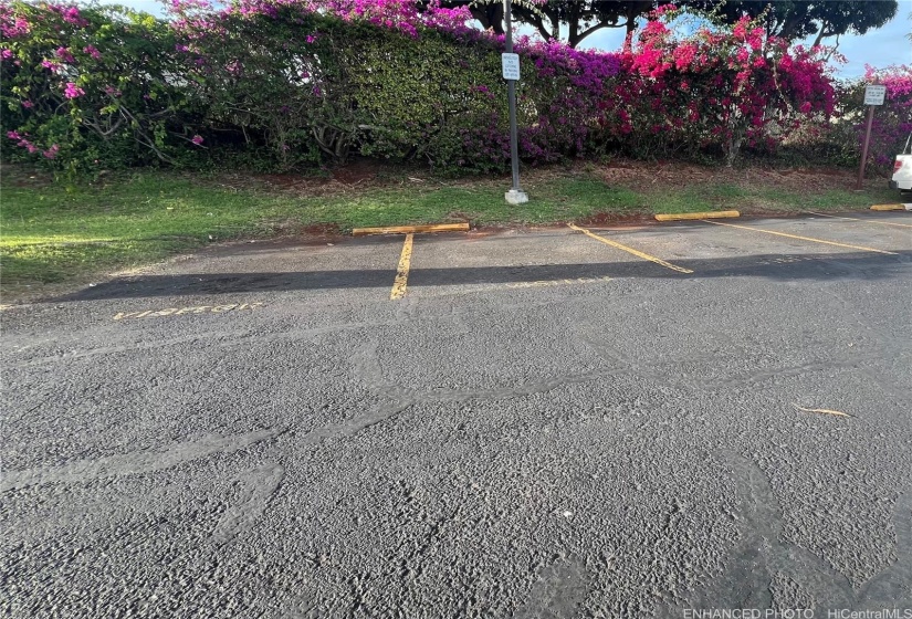 VISITOR PARKING Along Fence in Back (Enhanced).