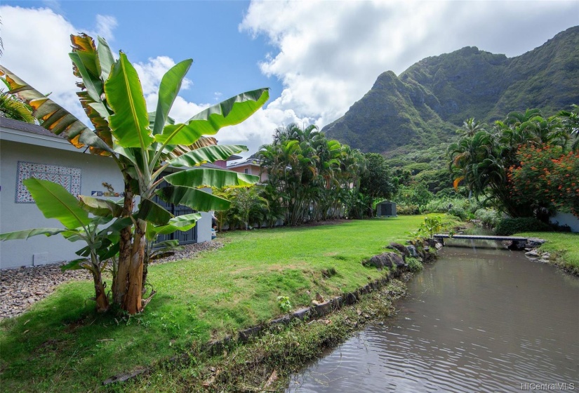 Fresh water spring runs through this lush property.