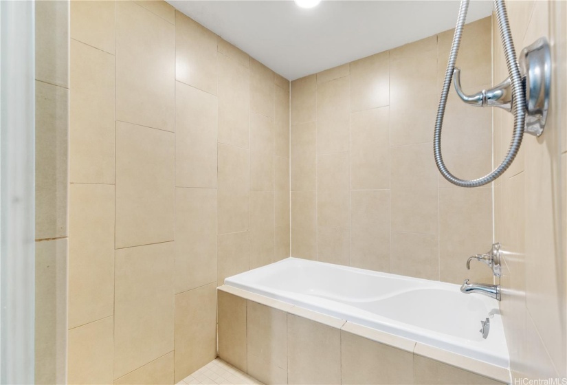 Primary Bathroom Shower & Bathtub Combo