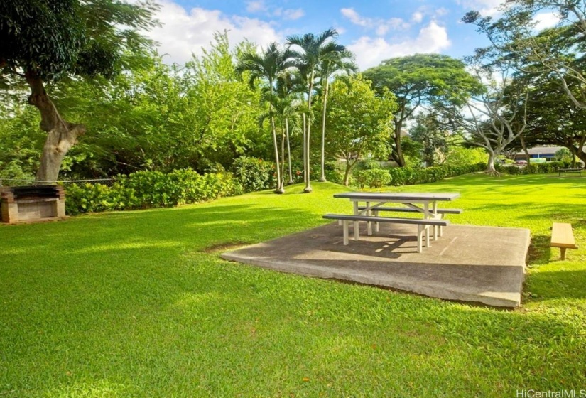 Garden area with bbq.