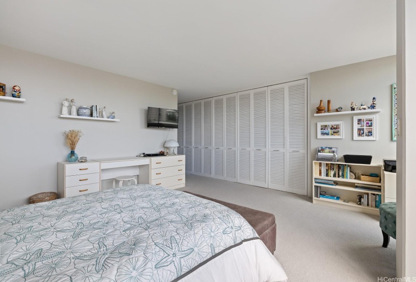 Primary bedroom has lots of closet space for those with a lot of clothes or stuff to hide...