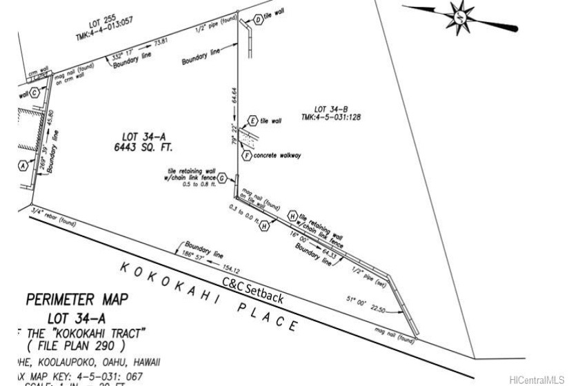 The recent survey of the lot, with the approximate 10' setback drawn in.