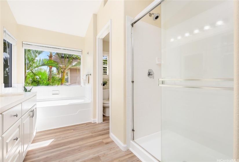 Primary bathroom has lots of natural light.