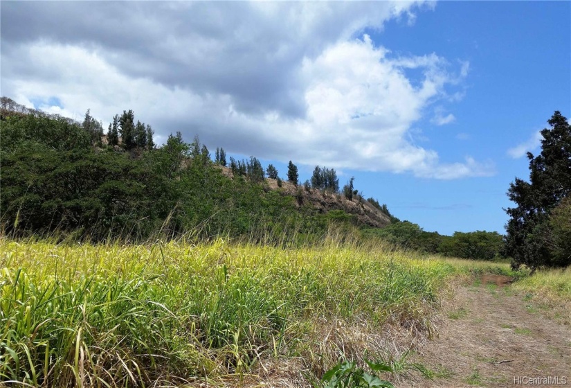 Great wind flow for cool breezes. Total sun exposure for solar power and great farming.